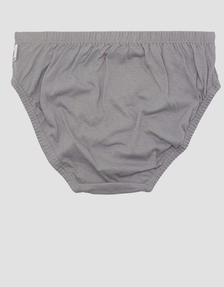 Image 4