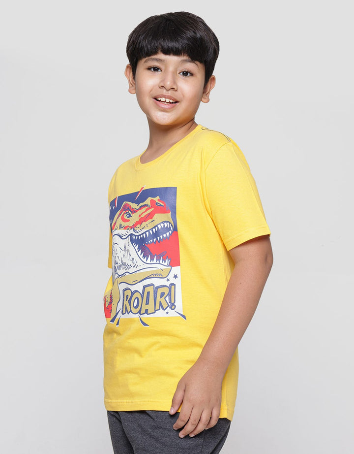 Aero Roar America Print Kaos Anak Laki-laki