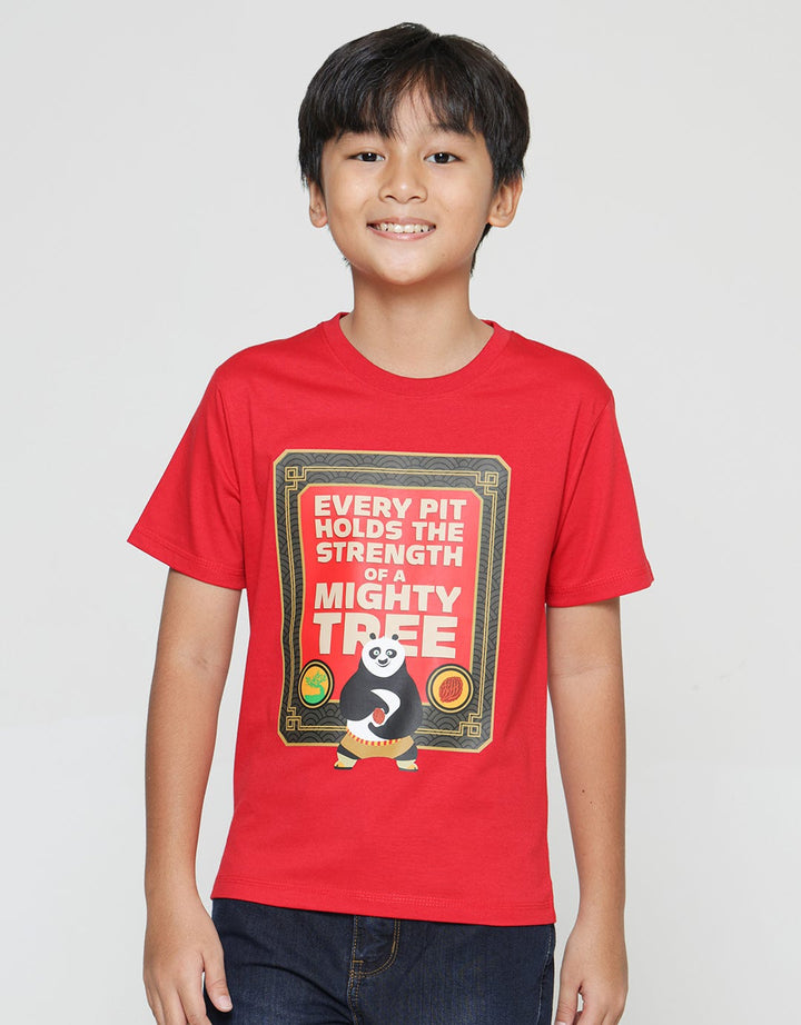 Character Kungfu Panda Boys T-shirt