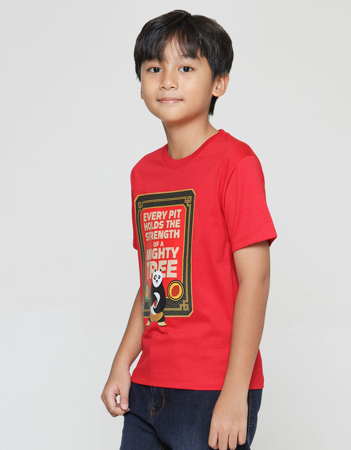 Character Kungfu Panda Boys T-shirt