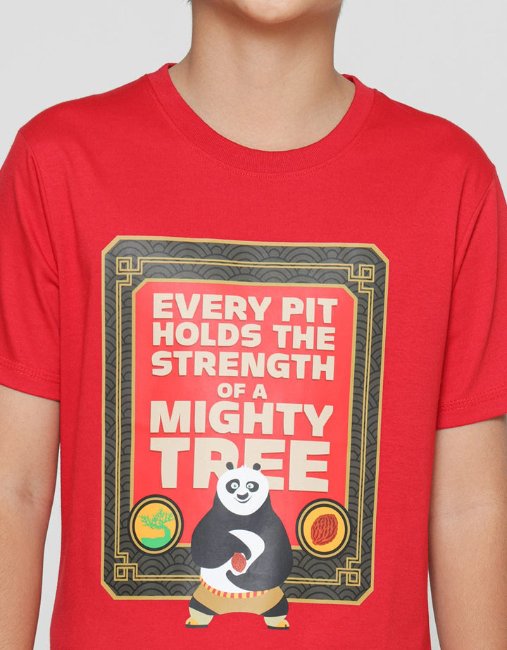 Character Kungfu Panda Boys T-shirt