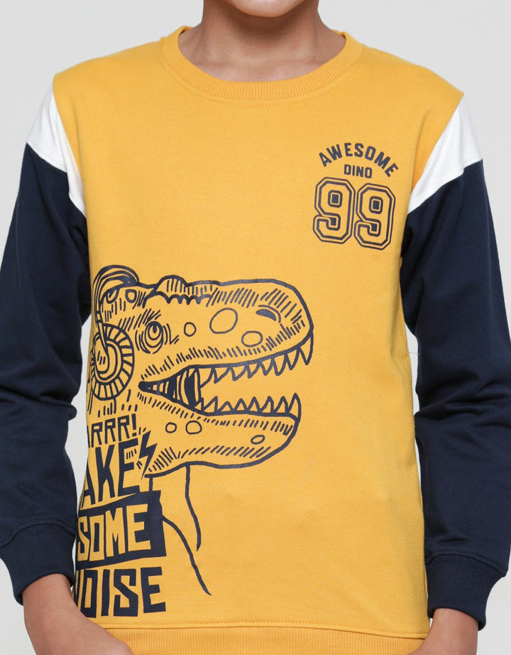 Aero Awesome Dino Boys Sweater