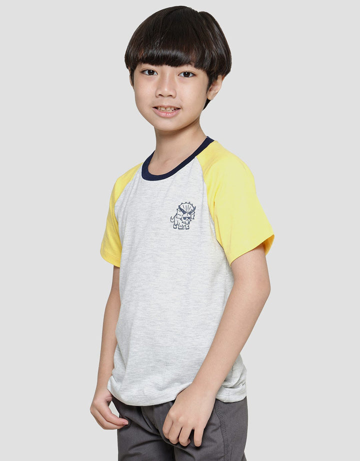 Little M Raglan Dino Boys Short Sleeve T-Shirt
