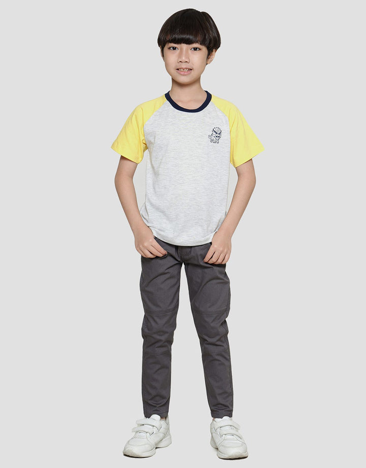 Little M Raglan Dino Boys Short Sleeve T-Shirt
