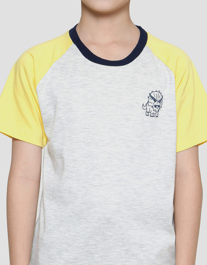 Little M Raglan Dino Boys Short Sleeve T-Shirt