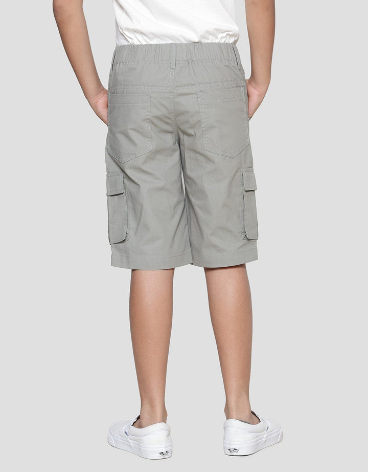 Aero Cargo 3d Celana Pendek Anak Laki-Laki