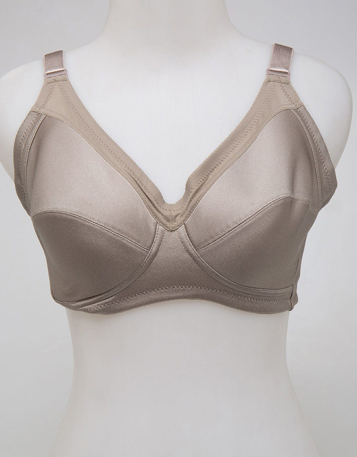 Tulip New Upgrade Ba