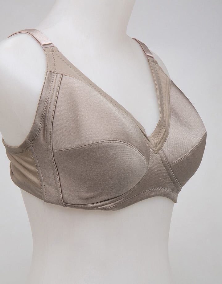 Tulip New Upgrade Ba