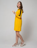 Nevada Long Sleeve Midi Dress Zipper