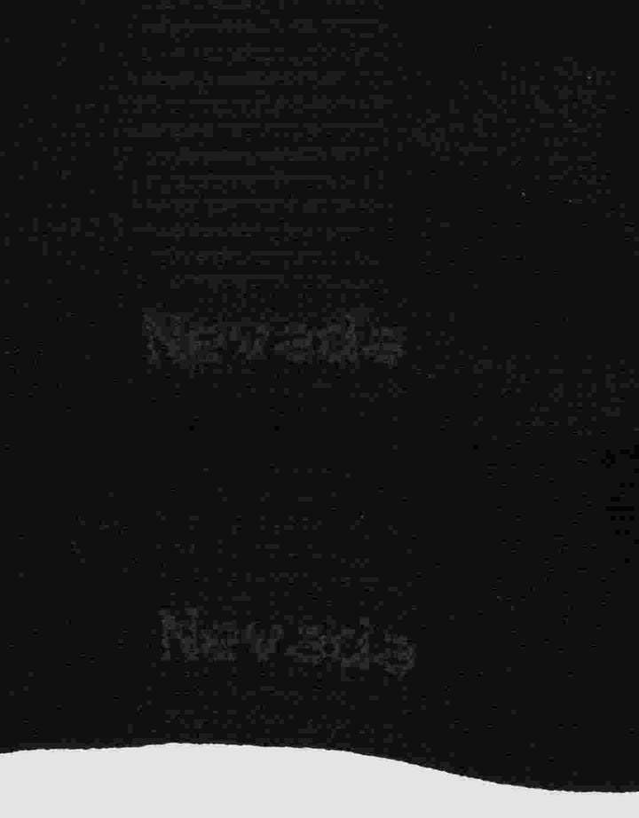 Nevada Garfield Pose Kaus Kaki Pria