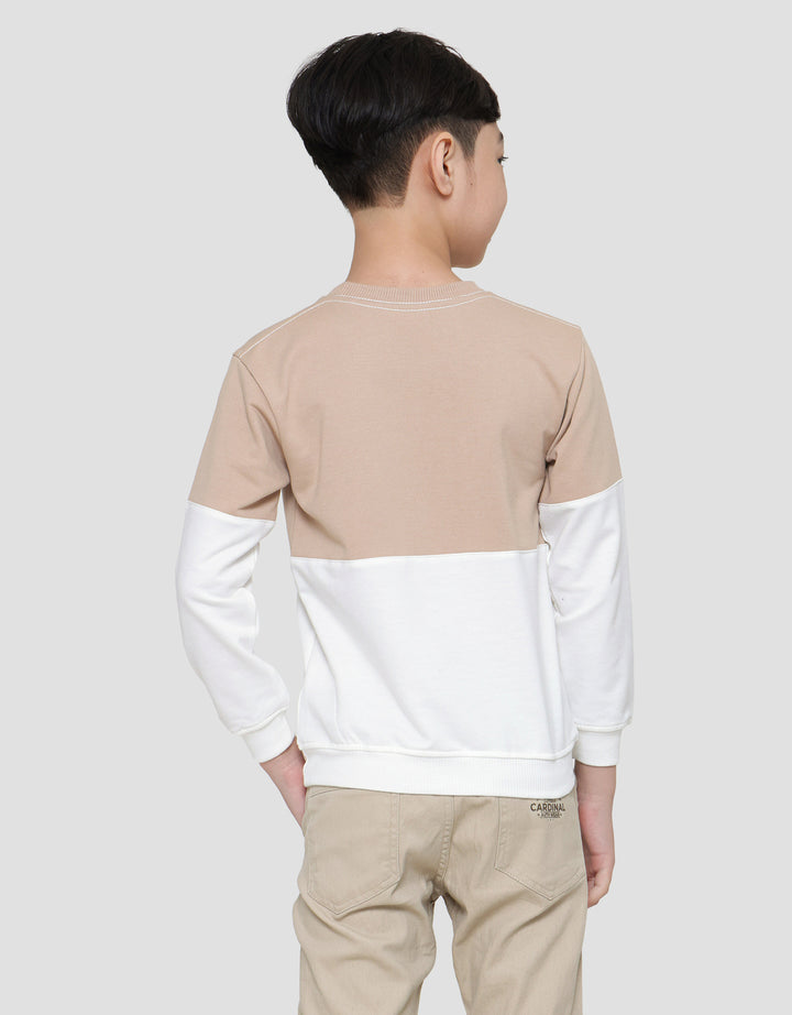 Little M Color Combi Sweater Anak Laki-laki