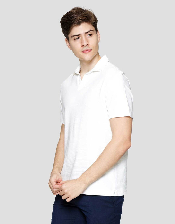 Cole Fancy Solid Ottoman Vneck Kaos Polo Pria