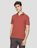 Cole Fancy Solid Ottoman Vneck Kaos Polo Pria