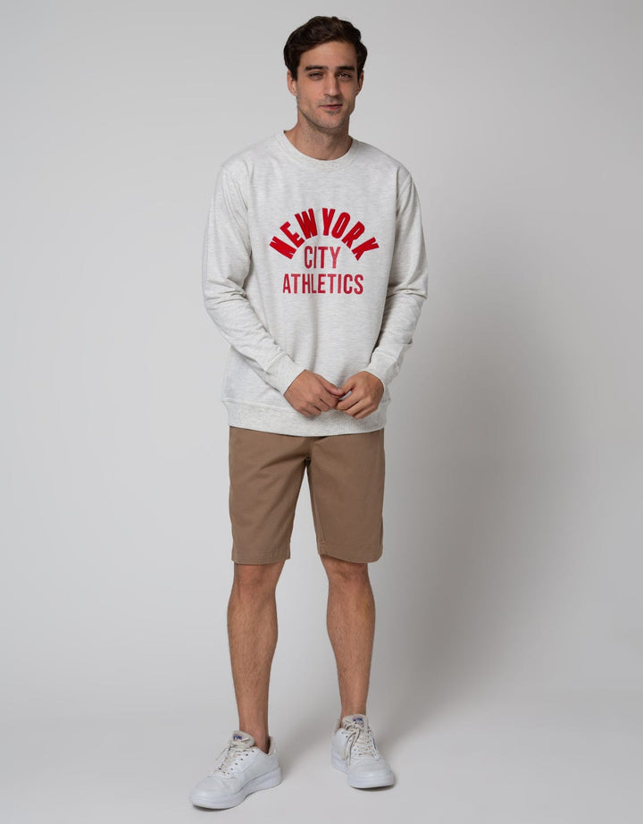 Nevada R Neck Men's Sweater