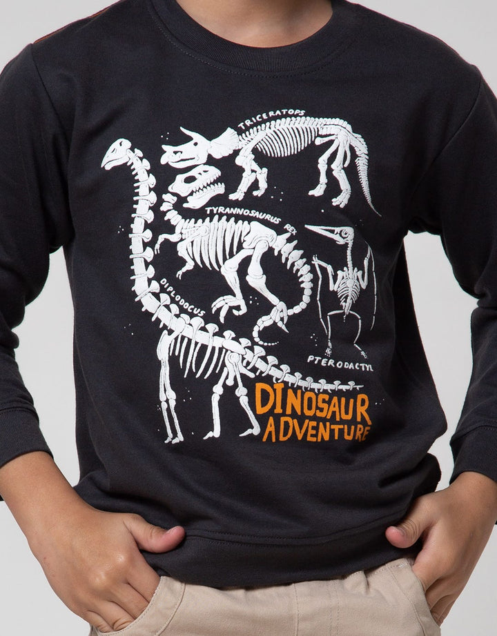 Little M Sweatshirt Dino Adventure