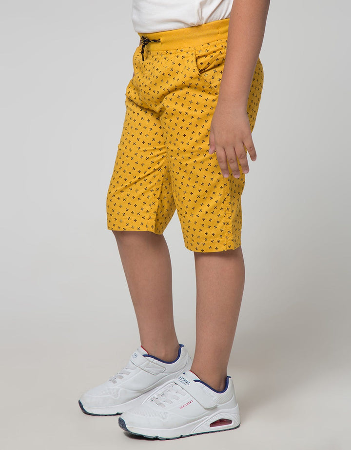 Nevada Shorts Pants Woven Print Geo Grid