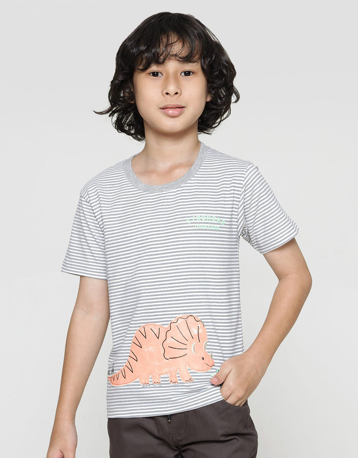 Little M Short Sleeve T-Shirtdino Stripe