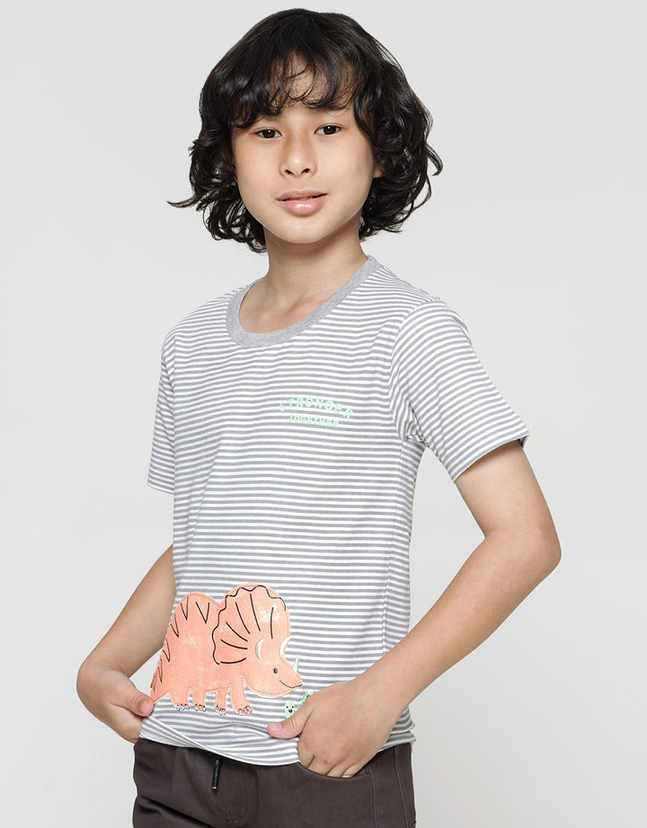Little M Short Sleeve T-Shirtdino Stripe