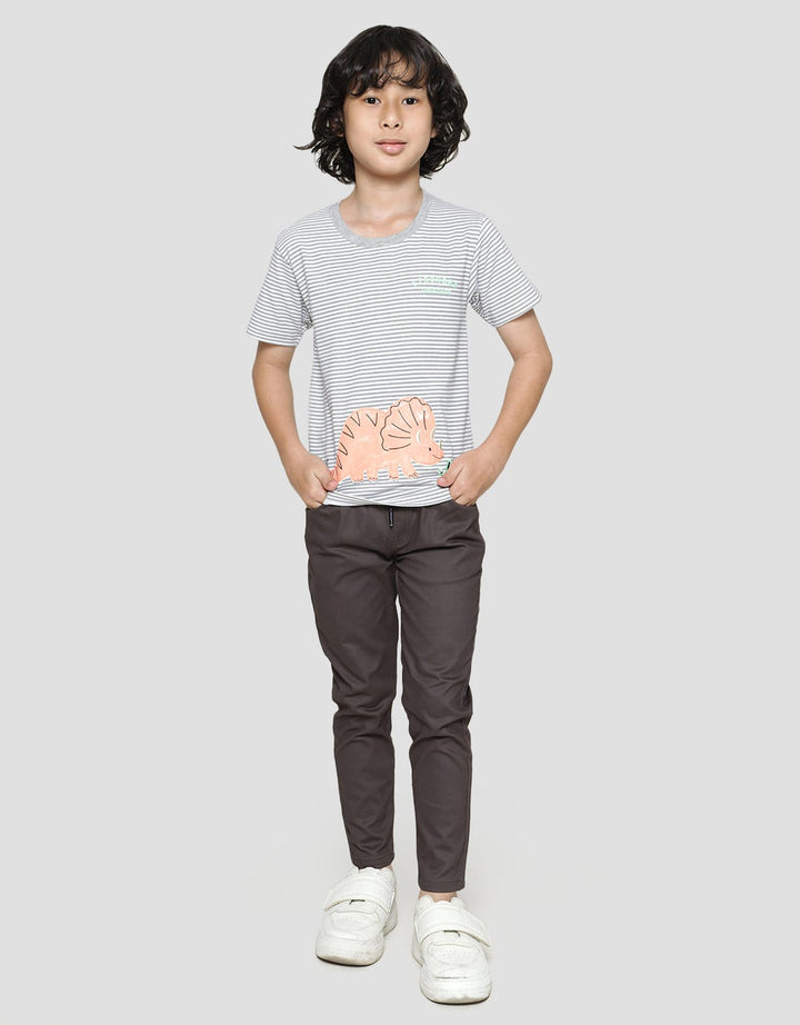 Little M Short Sleeve T-Shirtdino Stripe