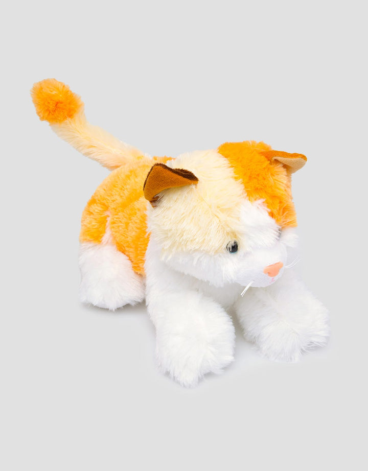 Matahari Cat Cute Waiting