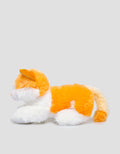 Matahari Cat Cute Waiting