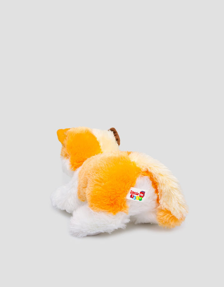 Matahari Cat Cute Waiting
