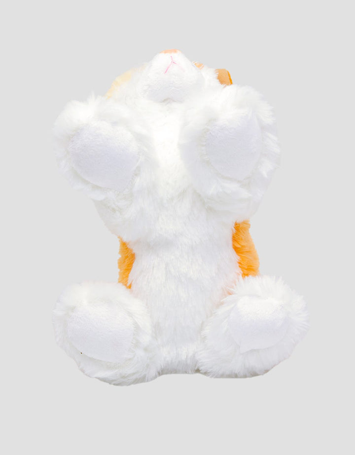 Matahari Cat Cute Waiting