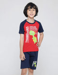 Little M Dino Raglan Tshirt Set