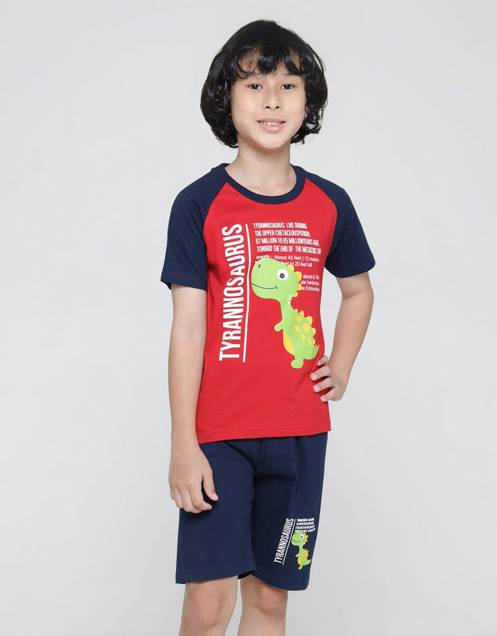 Little M Dino Raglan Tshirt Set