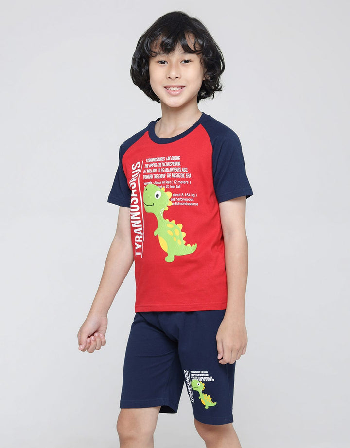 Little M Dino Raglan Tshirt Set