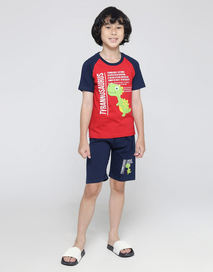 Little M Dino Raglan Tshirt Set