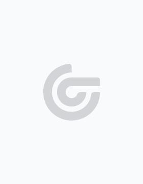 52700115 - Blue PING