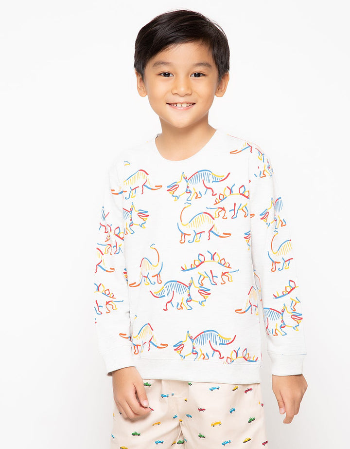 LS SWEATSHIRTS FP IN