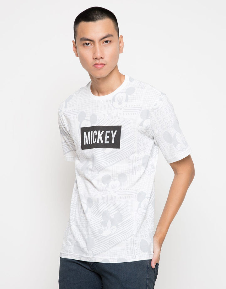 GADN08 66090100MIC T