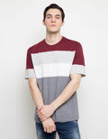 Cole T-Shirt Short Sleeve Stripe