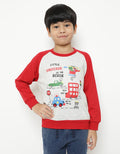 LS SWEATER RAGLAN IN