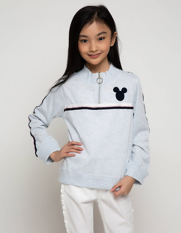 66050100MIC - SW MIC