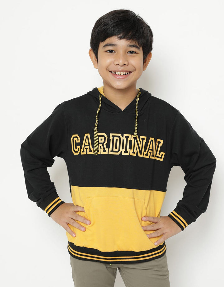 Cardinal Kids Boy Sweater