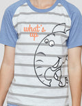 Little M Elephant Raglan Set Pakaian Anak Laki-laki