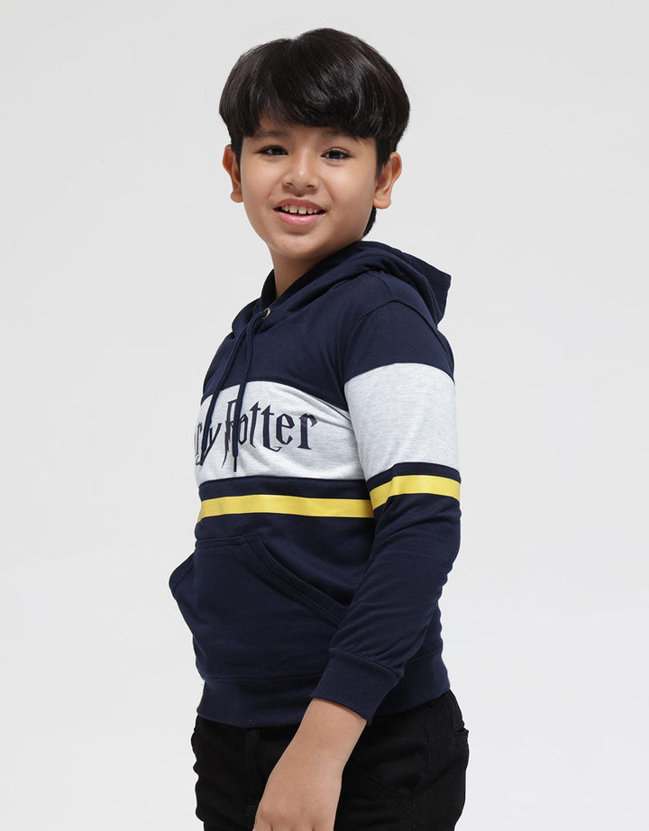 Character Sweater Harry Potter Cut Sew