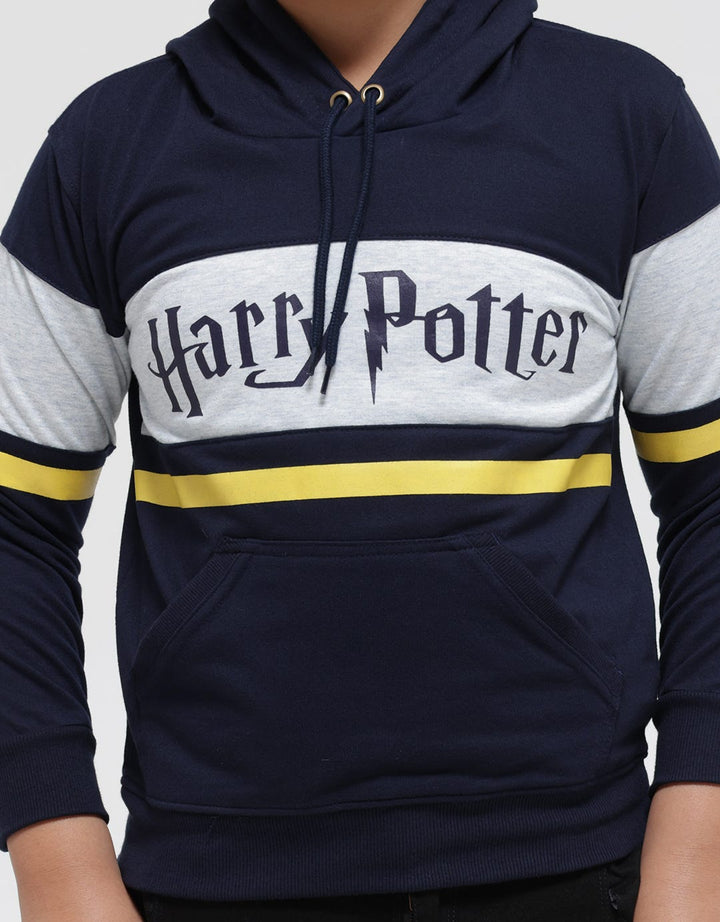 Character Sweater Harry Potter Cut Sew
