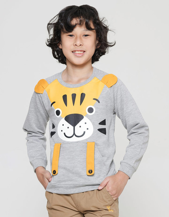 Little M Boys Terry Raglan Tiger Peak A Boo Sweater
