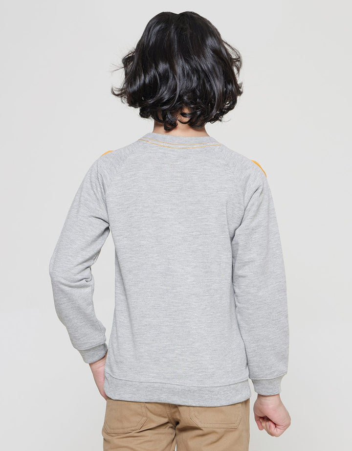 Little M Boys Terry Raglan Tiger Peak A Boo Sweater