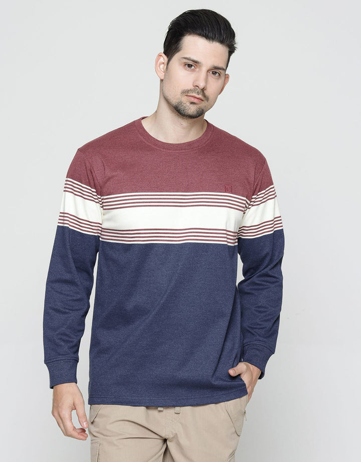 Cole Stripes Interlock Sweater for Men