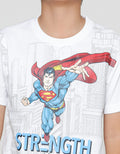 Character Superman Fly City Boys T-shirt