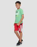 Cardinal Kids Boy This Summer Boys T-shirt