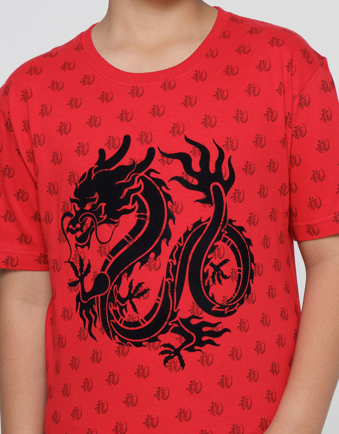 Aero Short Sleeve T-Shirt Print F/P Dragon Flocking