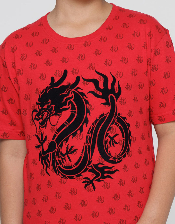 Aero Short Sleeve T-Shirt Print F/P Dragon Flocking