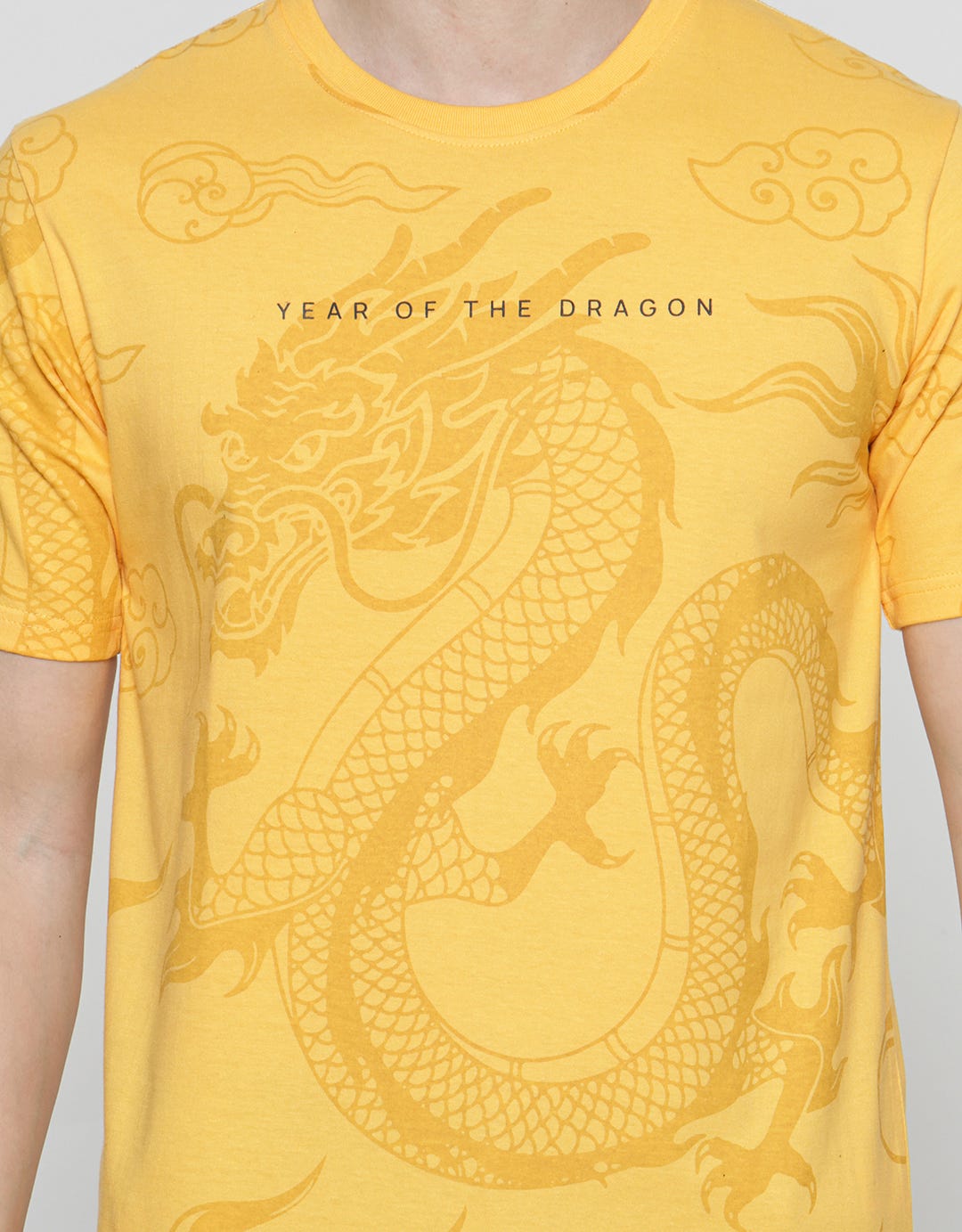 T Zone Big Dragon Print Kaos Pria