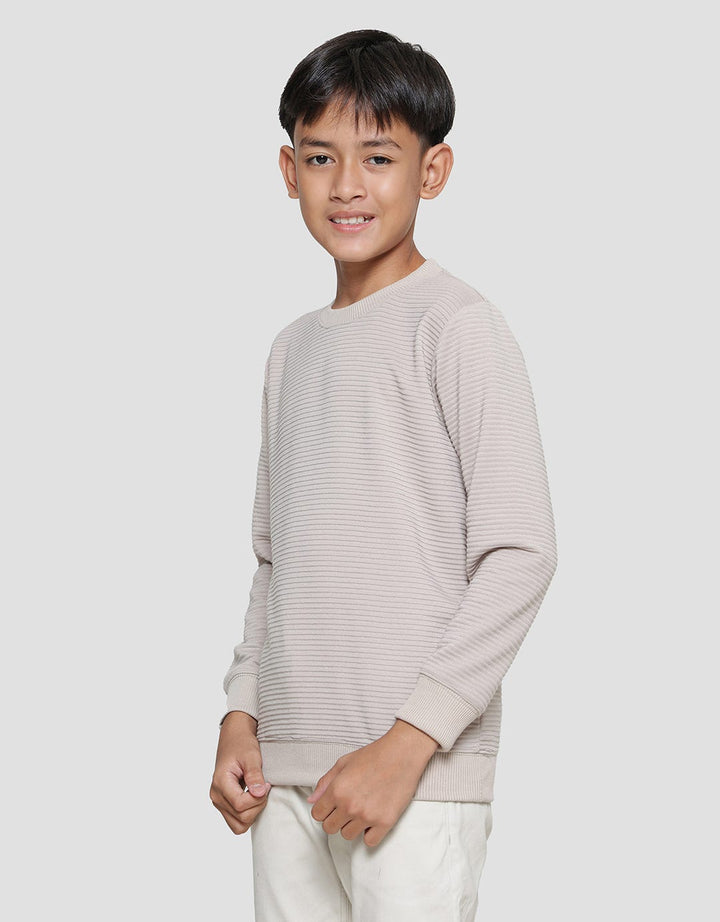 Nevada Textured Solid Boys Sweater